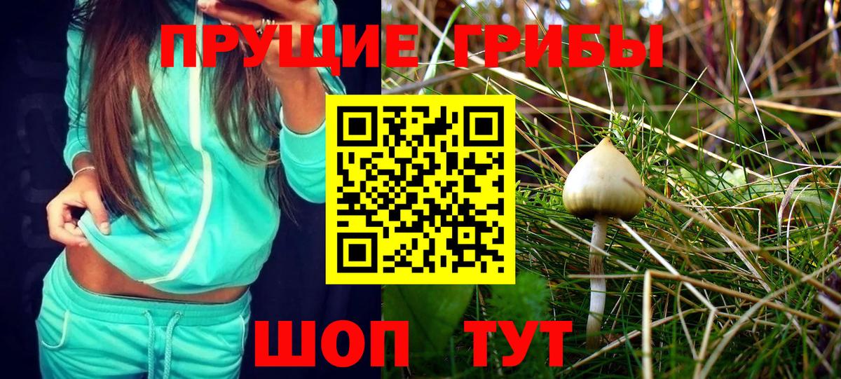 Псилоцибиновые грибы мухоморы Фрязино