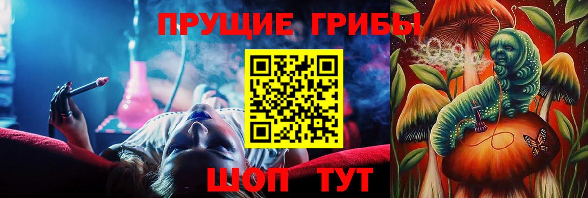 Фрязино  Псилоцибиновые грибы мицелий  Вход с VPN 