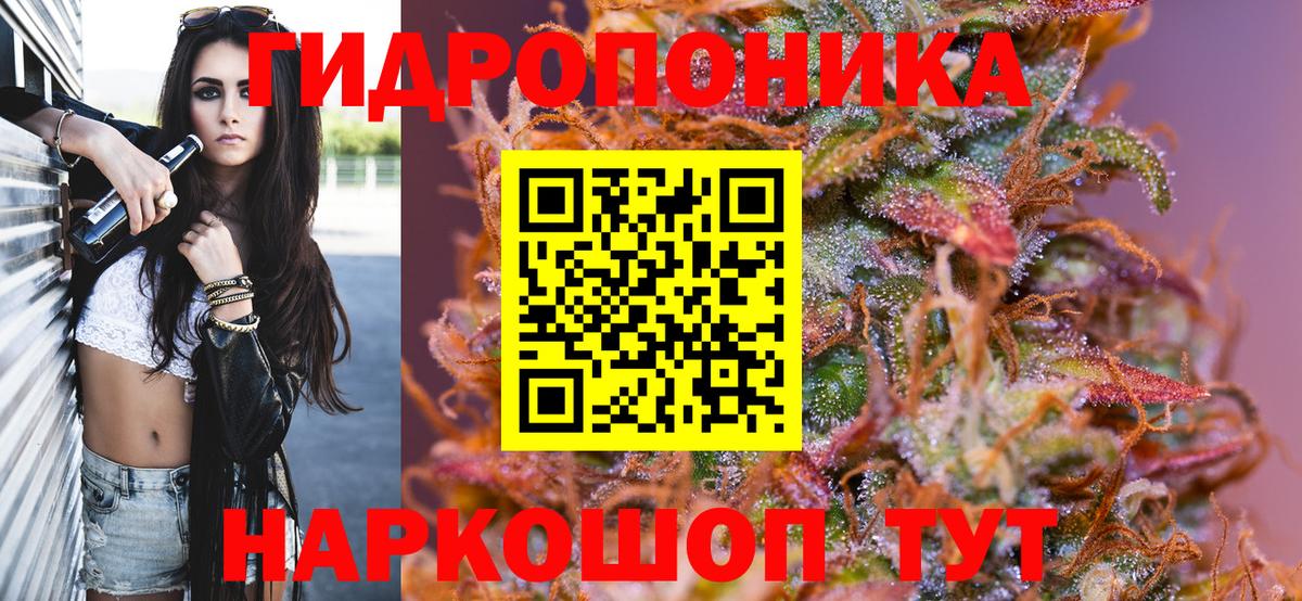 Шишки марихуана Ganja  Вход с VPN  Бошки Шишки конопля  Конопля AK-47  Фрязино 